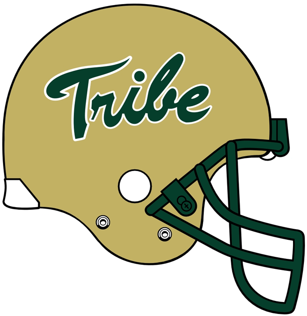 William and Mary Tribe 2009-Pres Helmet Logo t shirts iron on transfers